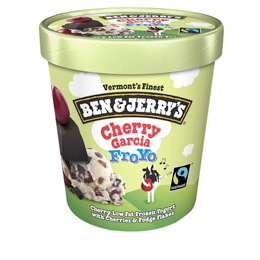 Ben and Jerry's Frozen Yougurt Pints